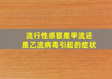 流行性感冒是甲流还是乙流病毒引起的症状