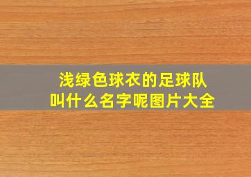 浅绿色球衣的足球队叫什么名字呢图片大全