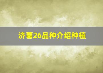 济薯26品种介绍种植