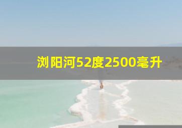 浏阳河52度2500毫升