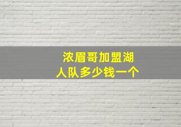 浓眉哥加盟湖人队多少钱一个