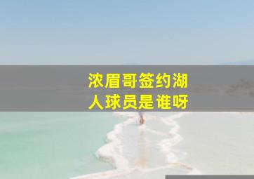 浓眉哥签约湖人球员是谁呀