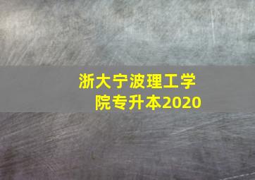 浙大宁波理工学院专升本2020