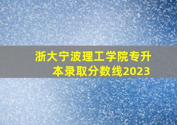 浙大宁波理工学院专升本录取分数线2023