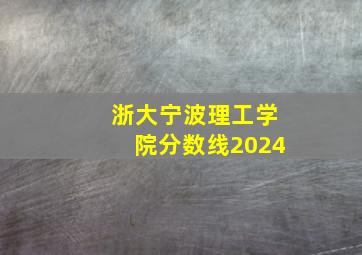 浙大宁波理工学院分数线2024