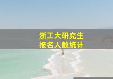 浙工大研究生报名人数统计