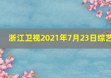 浙江卫视2021年7月23日综艺