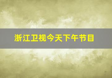 浙江卫视今天下午节目