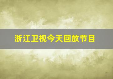 浙江卫视今天回放节目