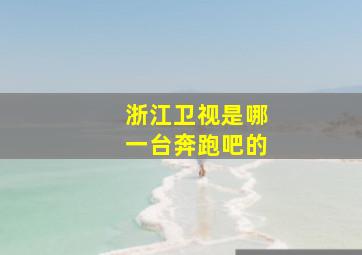 浙江卫视是哪一台奔跑吧的