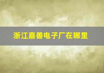 浙江嘉善电子厂在哪里