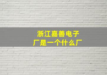 浙江嘉善电子厂是一个什么厂