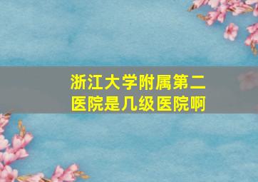 浙江大学附属第二医院是几级医院啊