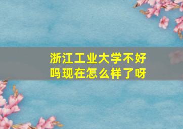 浙江工业大学不好吗现在怎么样了呀