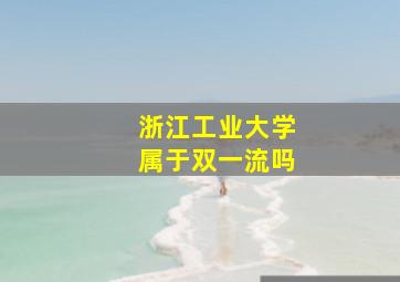 浙江工业大学属于双一流吗