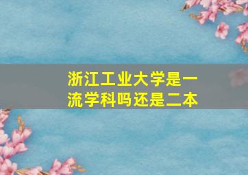 浙江工业大学是一流学科吗还是二本