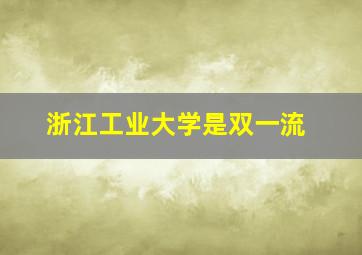 浙江工业大学是双一流