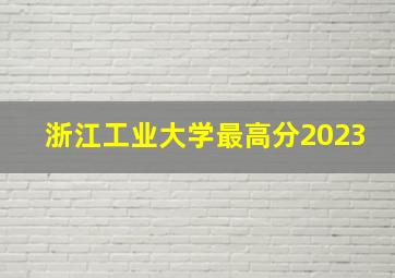 浙江工业大学最高分2023