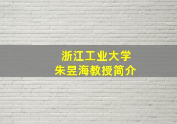 浙江工业大学朱昱海教授简介