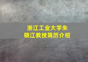 浙江工业大学朱晓江教授简历介绍