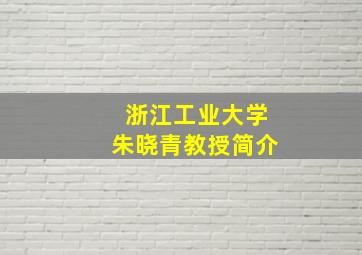 浙江工业大学朱晓青教授简介