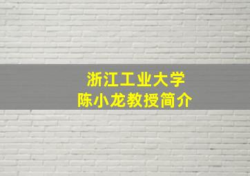 浙江工业大学陈小龙教授简介