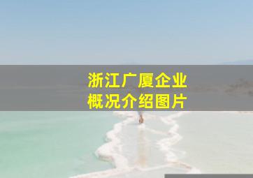 浙江广厦企业概况介绍图片