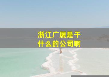 浙江广厦是干什么的公司啊