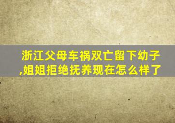 浙江父母车祸双亡留下幼子,姐姐拒绝抚养现在怎么样了