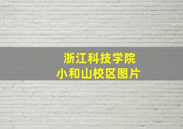 浙江科技学院小和山校区图片