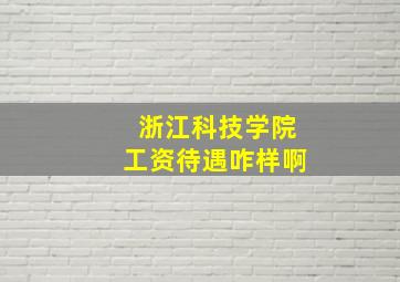 浙江科技学院工资待遇咋样啊