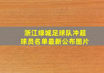 浙江绿城足球队冲超球员名单最新公布图片