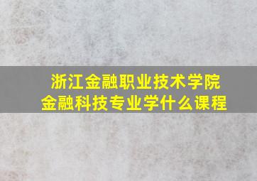 浙江金融职业技术学院金融科技专业学什么课程