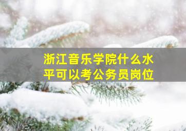 浙江音乐学院什么水平可以考公务员岗位