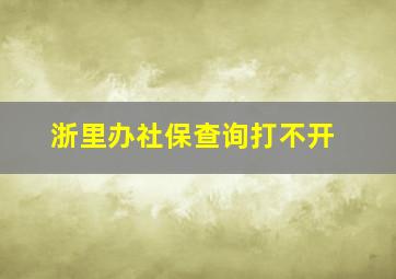 浙里办社保查询打不开