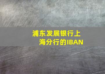 浦东发展银行上海分行的IBAN