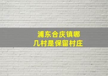 浦东合庆镇哪几村是保留村庄