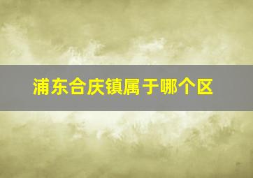 浦东合庆镇属于哪个区