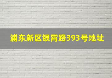 浦东新区银霄路393号地址