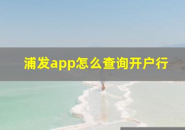 浦发app怎么查询开户行