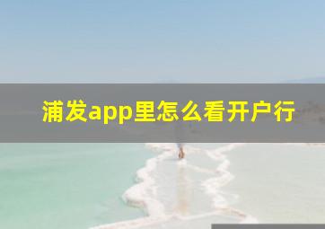 浦发app里怎么看开户行