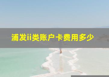 浦发ii类账户卡费用多少