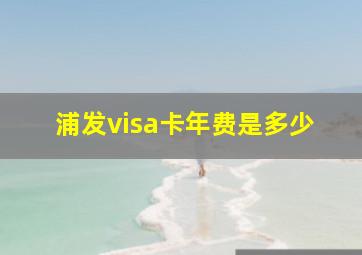 浦发visa卡年费是多少