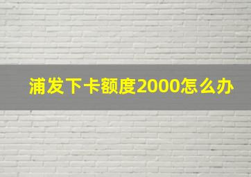 浦发下卡额度2000怎么办