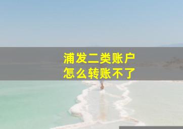 浦发二类账户怎么转账不了