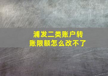 浦发二类账户转账限额怎么改不了