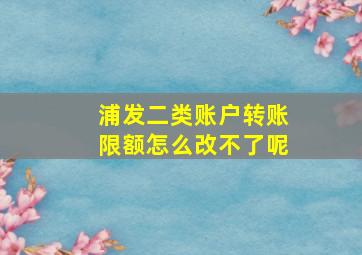 浦发二类账户转账限额怎么改不了呢