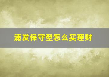 浦发保守型怎么买理财