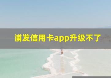 浦发信用卡app升级不了