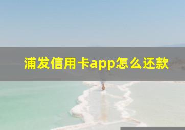 浦发信用卡app怎么还款